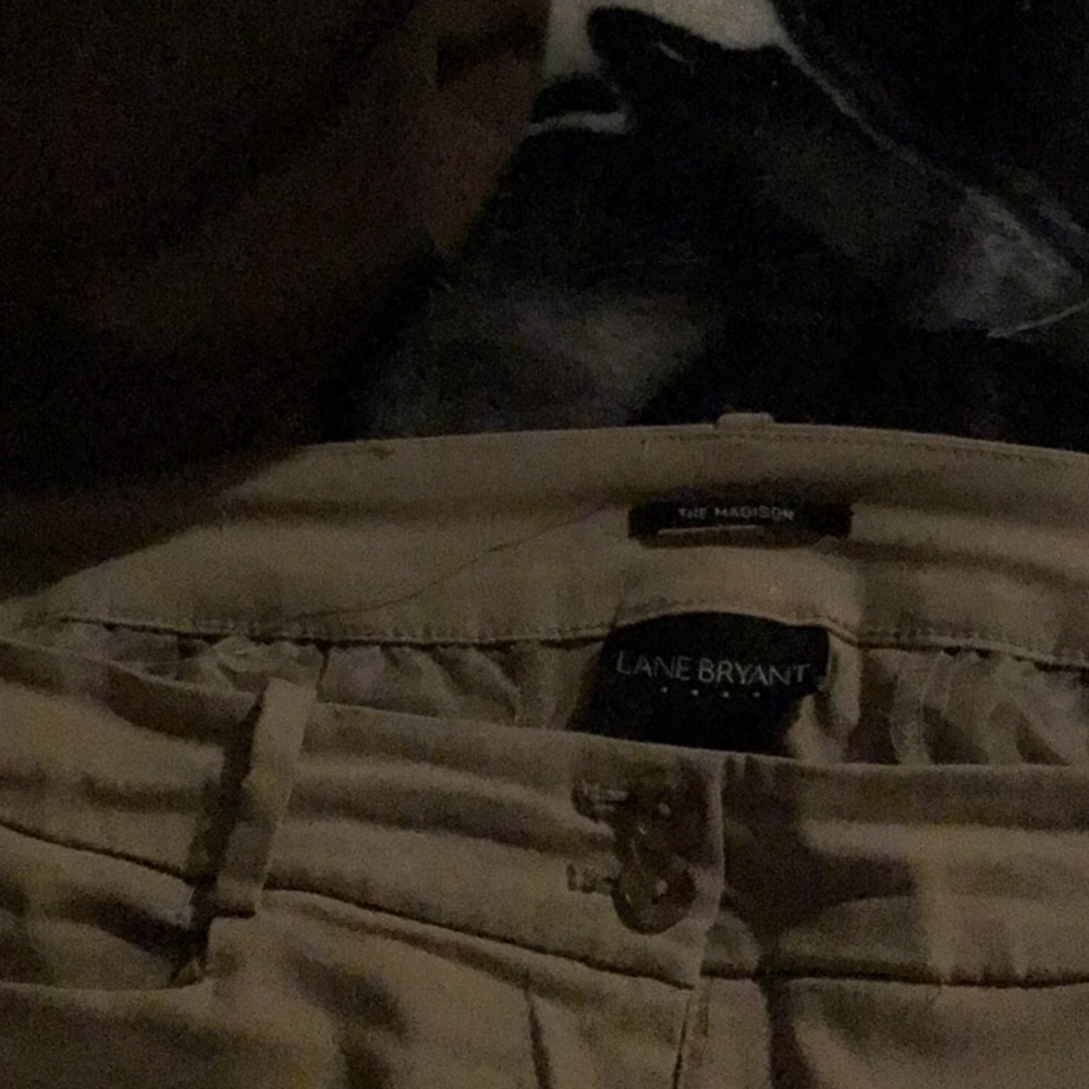 Tan Lane Bryant outlet dress pants